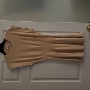 Zara Tan Dress